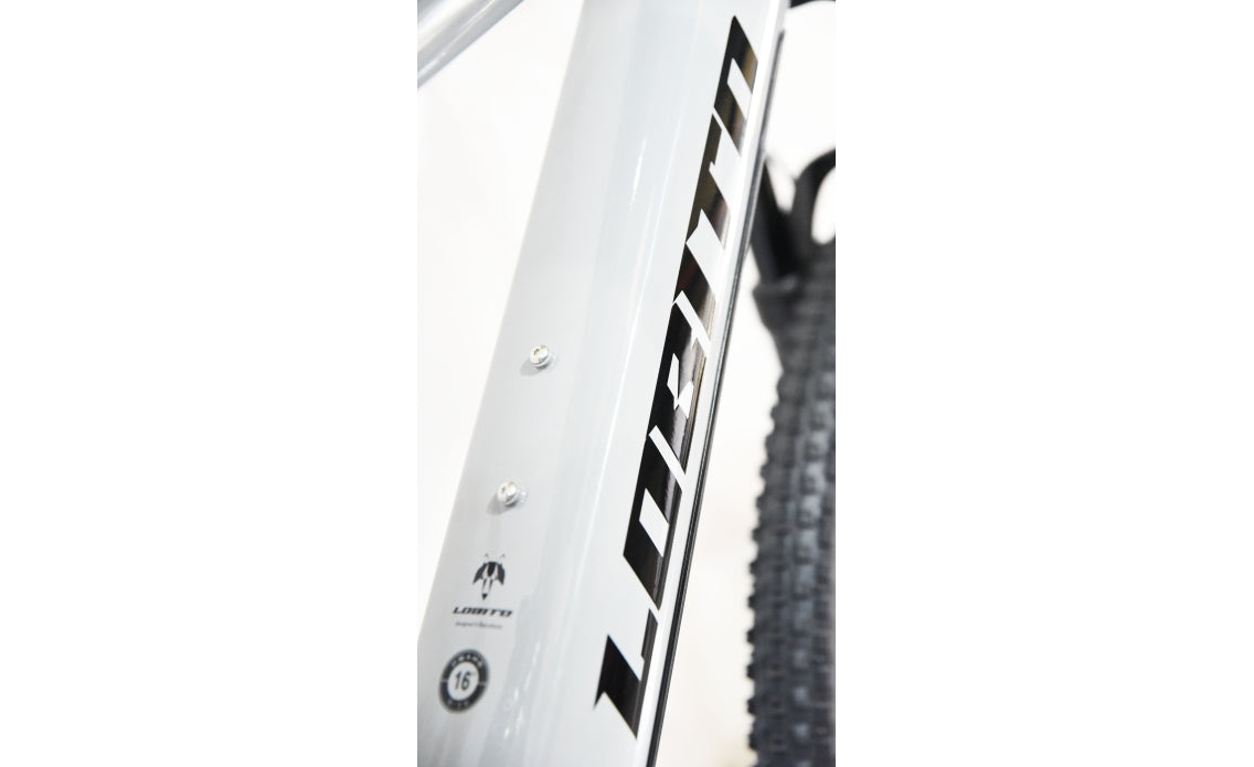 Mountain Bike Elettrica motore centrale 95Nm EON FL ESCURSIONE 150MM