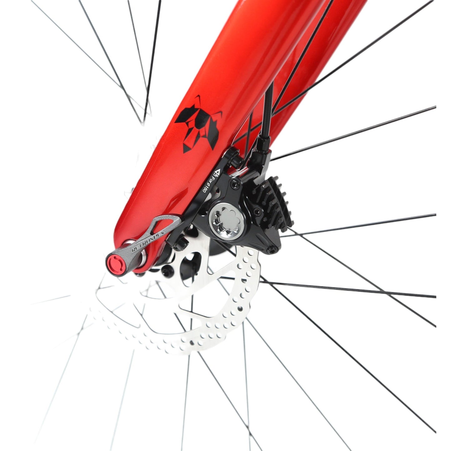 bici da corsa carbonio freni a disco maranello