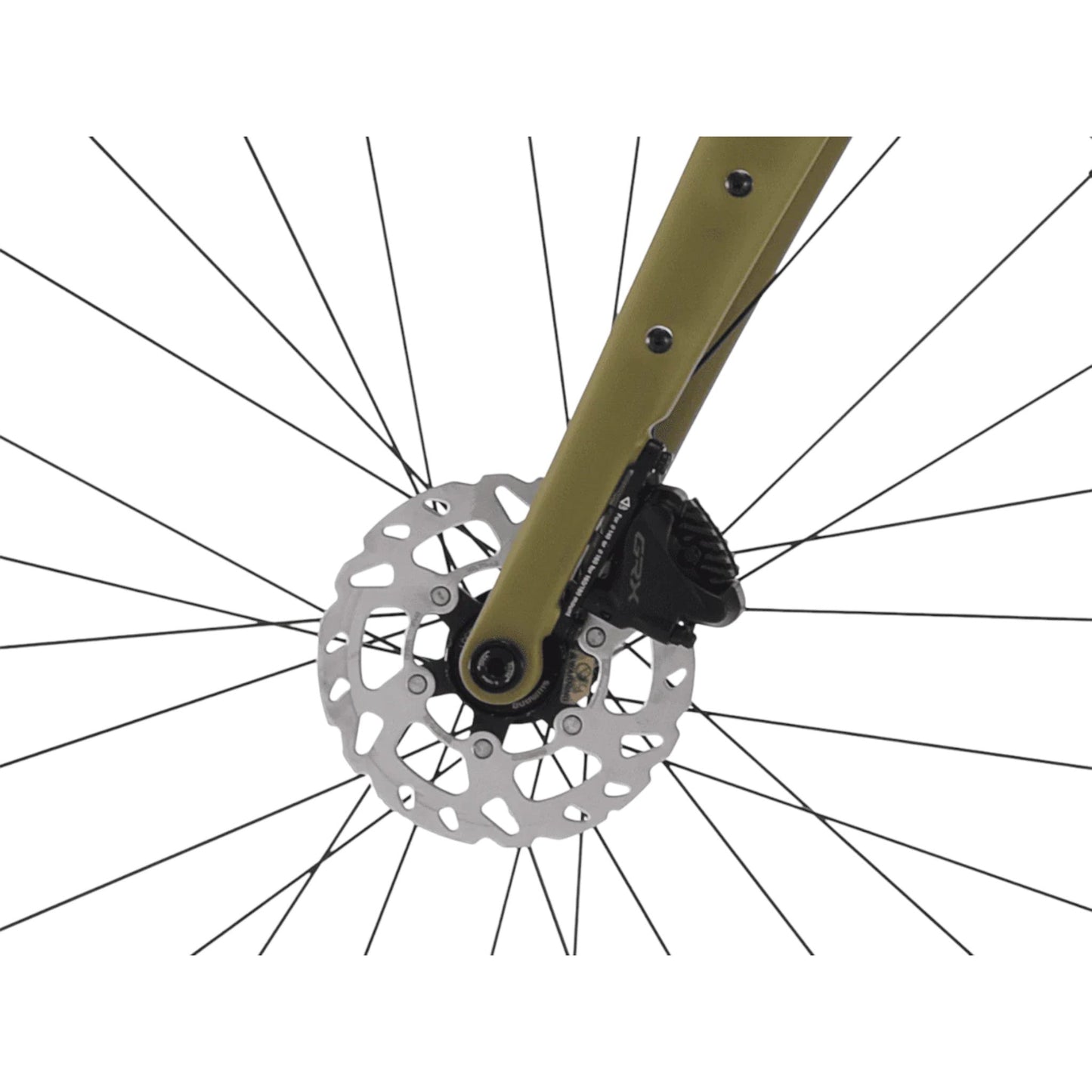 Bici gravel in carbonio Shimano GRX | Versatile, leggera, reattiva