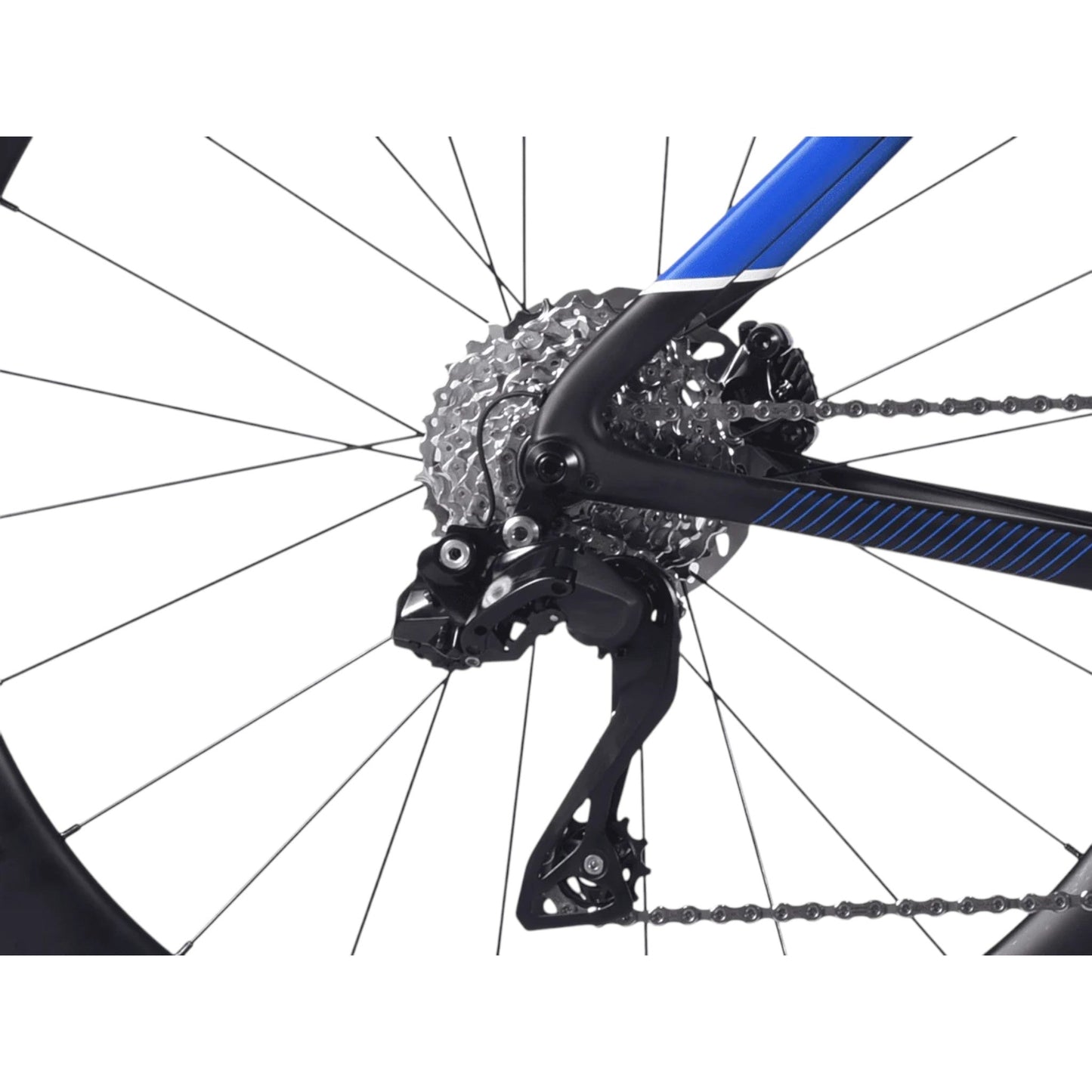 bici da corsa in carbonio