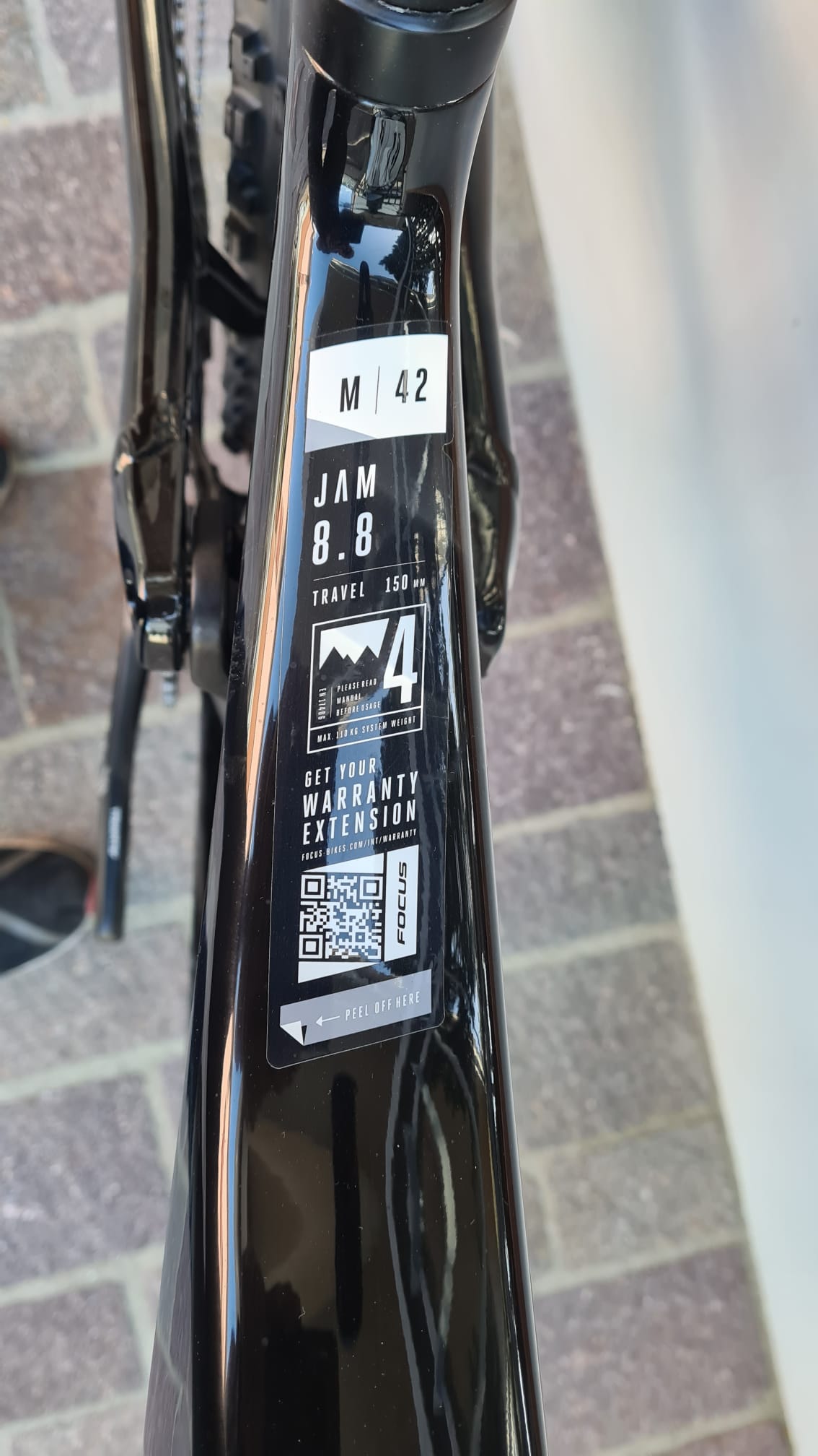 MTB Usata In Carbonio Occasione FOCUS JAM 8.8 NUOVA MISURA M