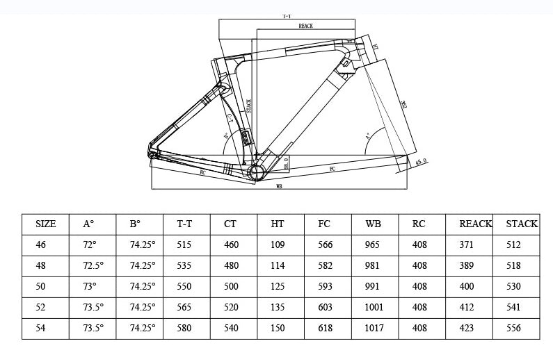Bici Da Corsa CAMBIO ELETTRONICO In Carbonio 13 velocità|LOBITO ITALIA