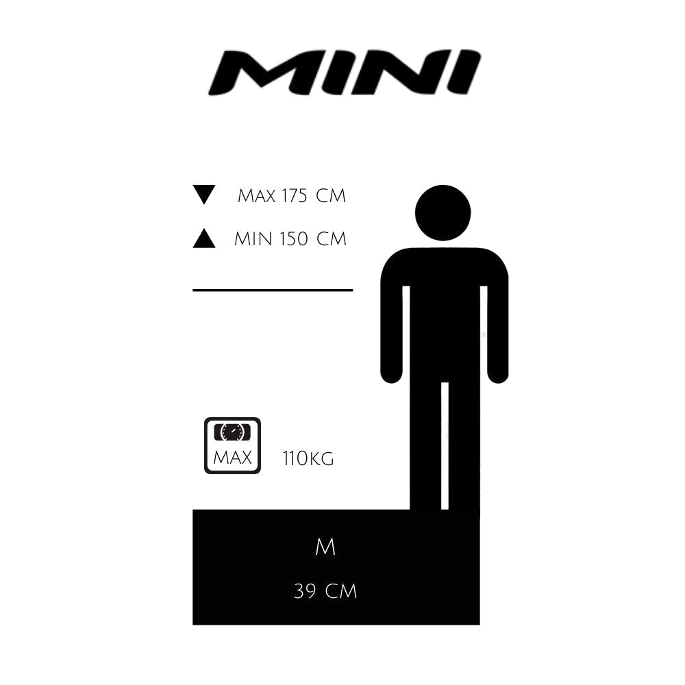 bicicletta elettrica pieghevole tabella taglie