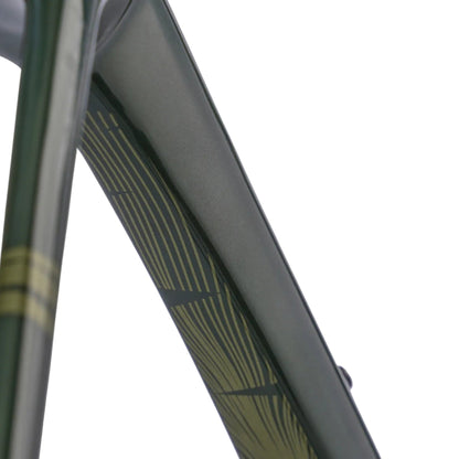 EVOLVE CIMA telaio corsa più leggero