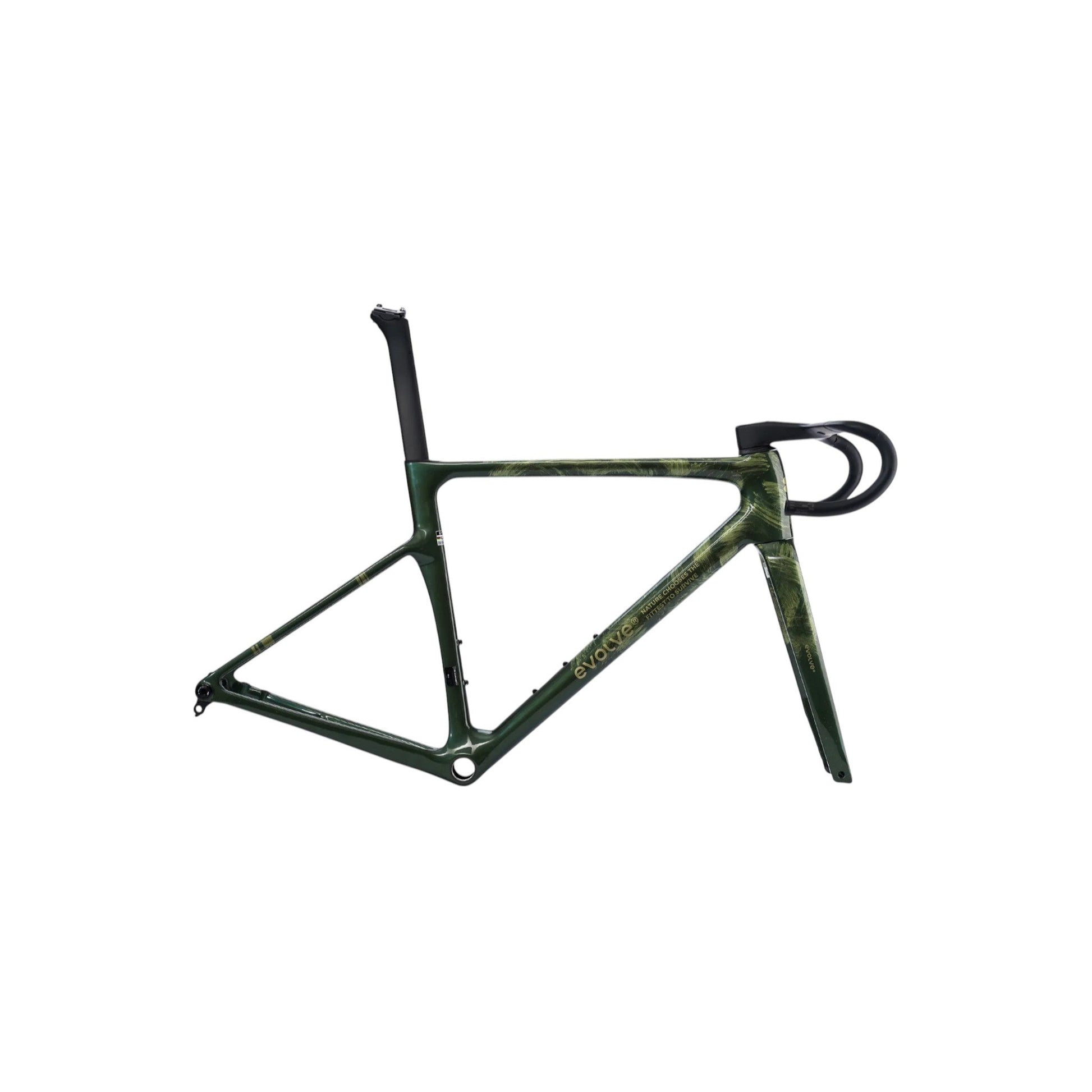 EVOLVE CIMA miglior telaio in carbonio per bici da corsa