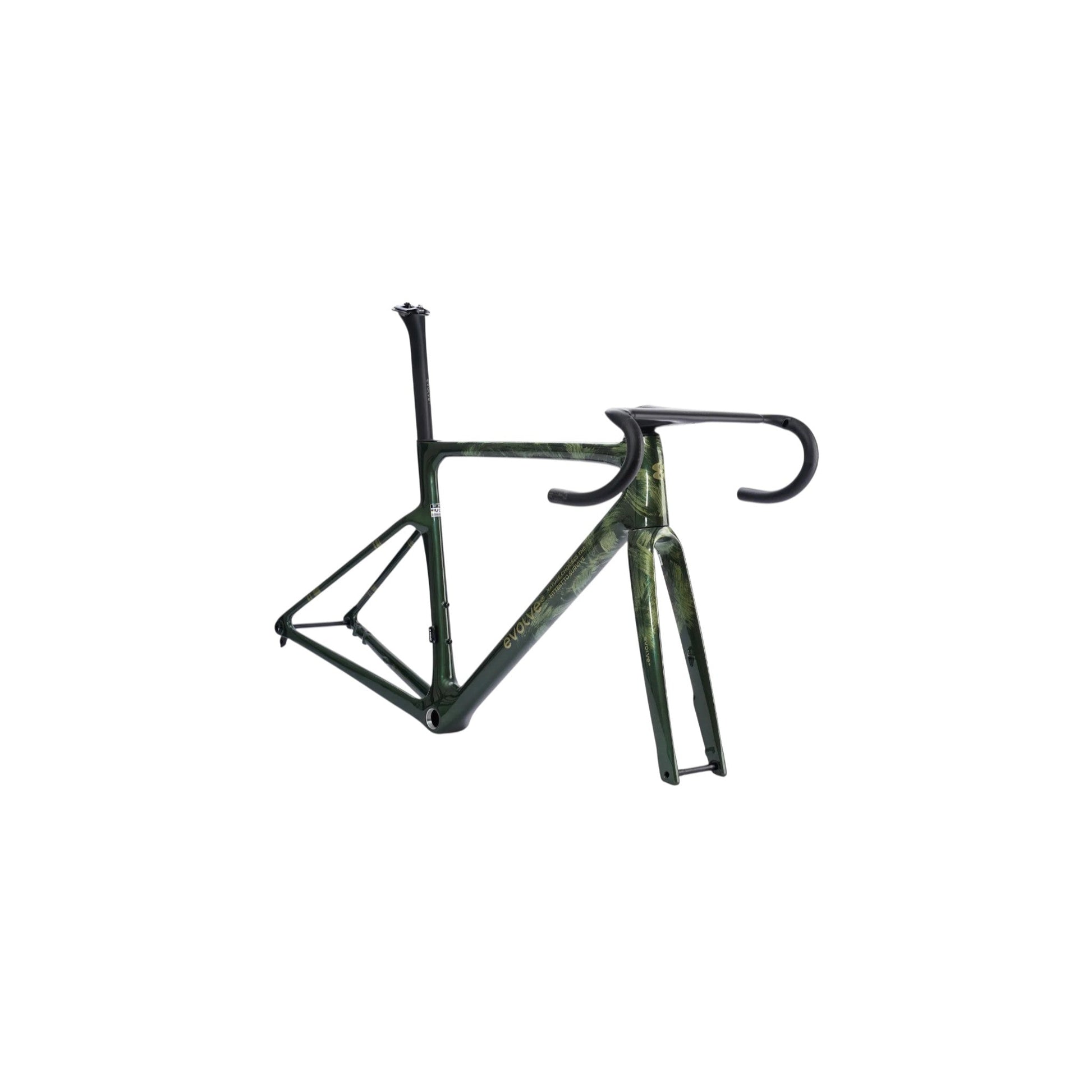 EVOLVE CIMA miglior telaio in carbonio per bici da corsa