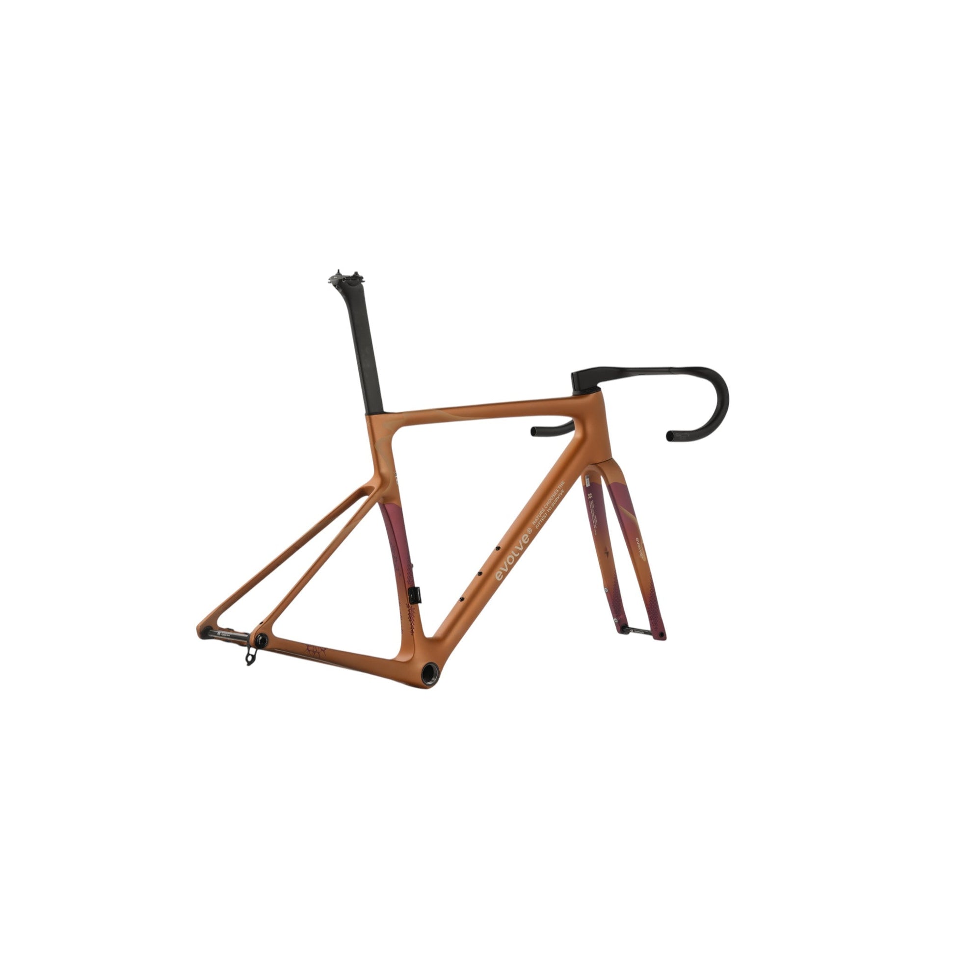 EVOLVE CIMA MANUBRIO INTEGRATO  bici da corsa