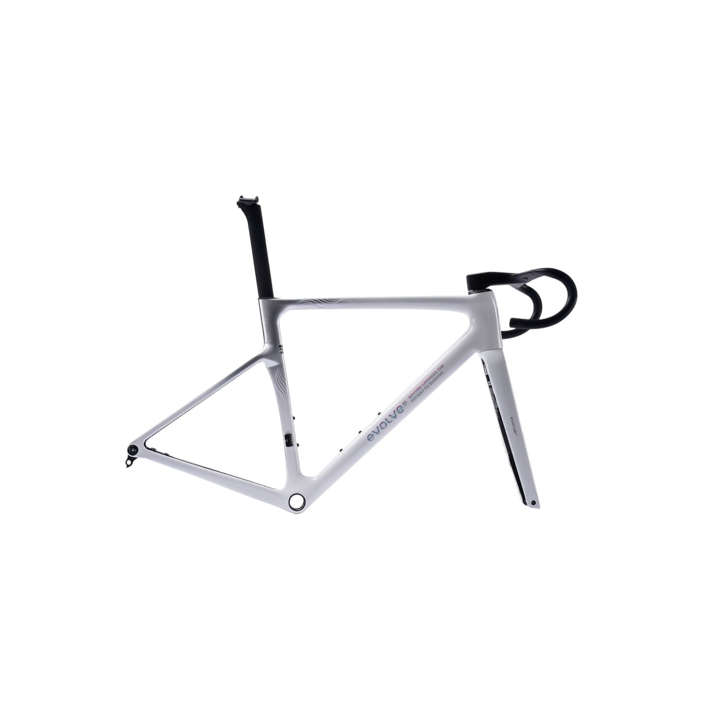 EVOLVE CIMA miglior telaio in carbonio per bici da corsa