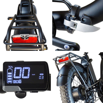 Bici elettrica pieghevole F20 | 250W, batteria 960Wh, fino a 100 km