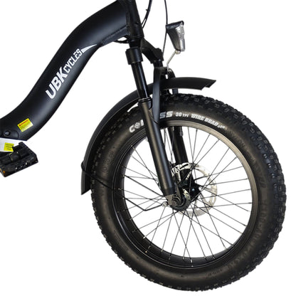 Bici elettrica pieghevole F20 | 250W, batteria 960Wh, fino a 100 km