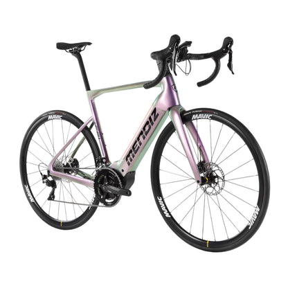 Bici elettrica da strada EF21 | Telaio carbonio, motore Polini 250W