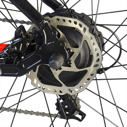 MOUNTAIN BIKE ELETTRICA da viaggio Urabanbiker Autonomia 200 km LOBITO