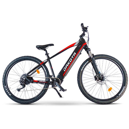 mountain bike elettrica