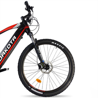 mountain bike elettrica