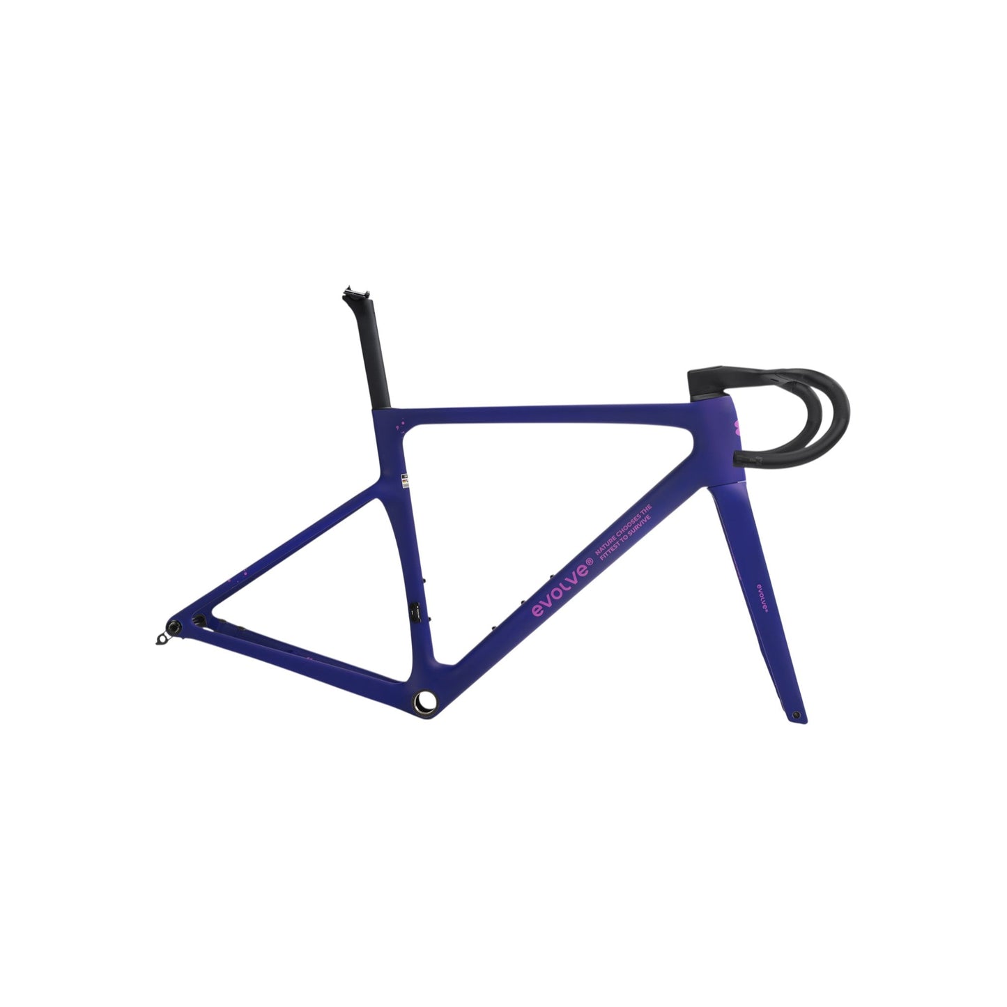 EVOLVE CIMA miglior telaio in carbonio per bici da corsa