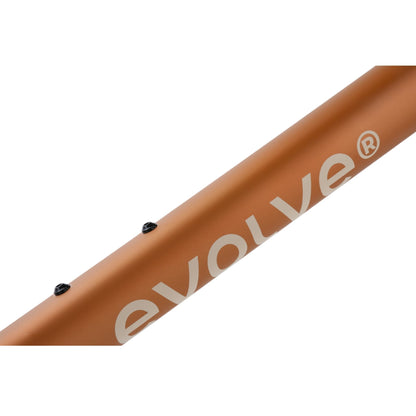 EVOLVE CIMA MANUBRIO INTEGRATO  bici da corsa