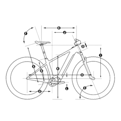 ​bici da strada carbonio