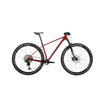 Mountain Bike Carbonio Mendiz X21 SL